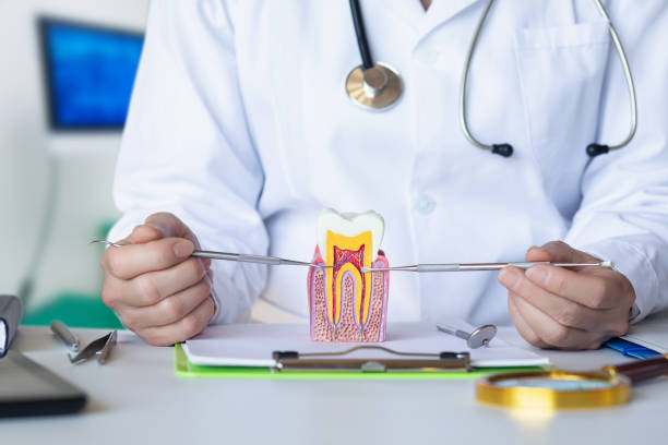 Best Emergency Root Canal Treatment in Leonard, TX